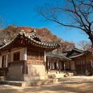 Secret Garden, Changdeokgung Palace, Seoul